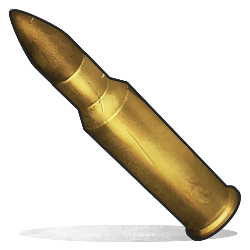5.56 Rifle Ammo