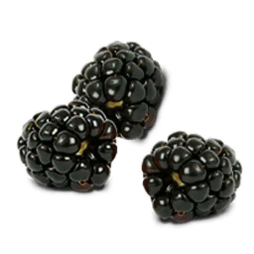 Black Raspberries