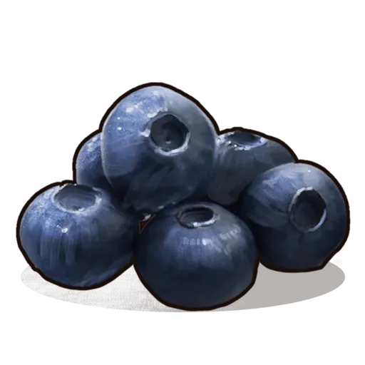 Blueberries